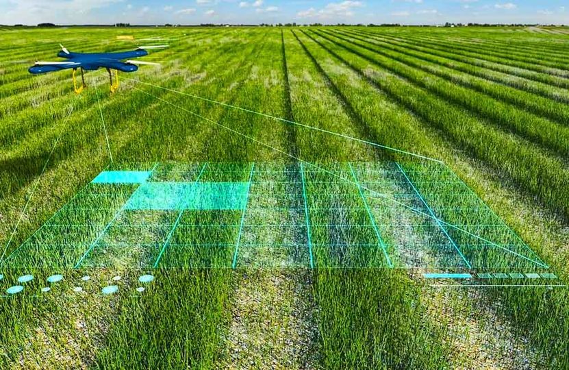Sequía producción agrícola e inteligencia artificial